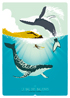 BAL DES BALEINES