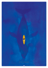 LA MER VEILLE