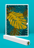 MONSTERA