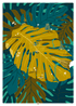 MONSTERA