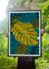 MONSTERA