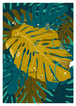 MONSTERA