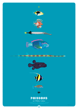 POISSONS DE L'OCÉAN INDIEN