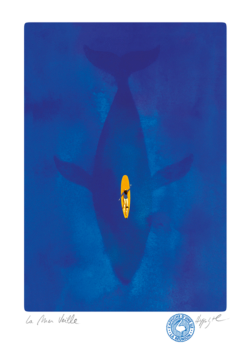 LA MER VEILLE