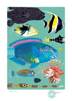POISSONS DU LAGON