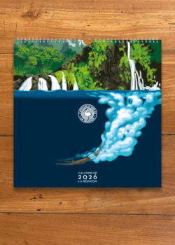 Calendrier 2026