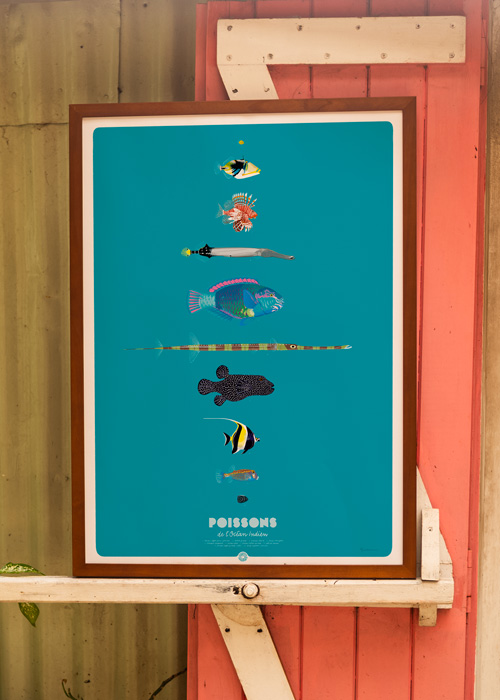 POISSONS DE L'OCÉAN INDIEN