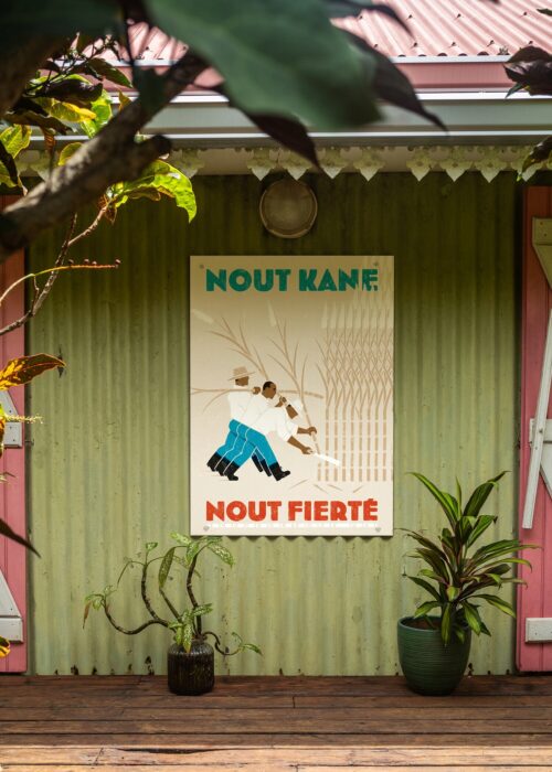 NOUT KANE