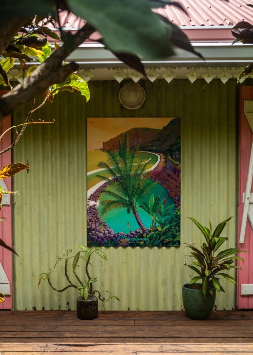 LE PEINTRE DE MANAPANY