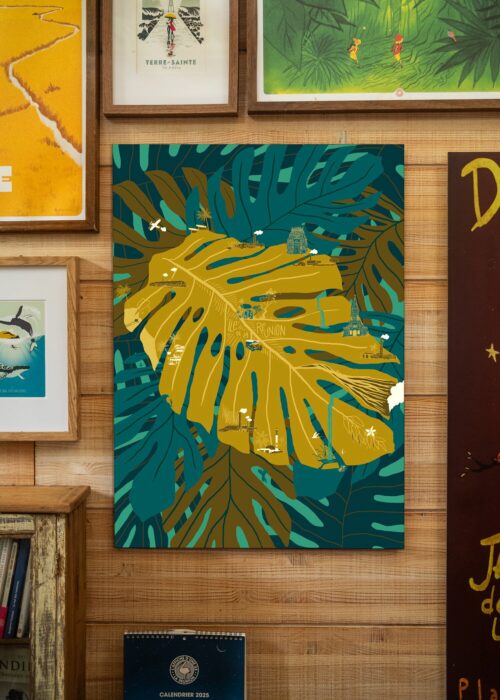 MONSTERA